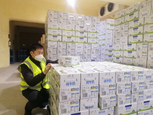 伊利冬奥志愿团 在平凡岗位上全力以赴,是温暖冬奥赛场的真实力量